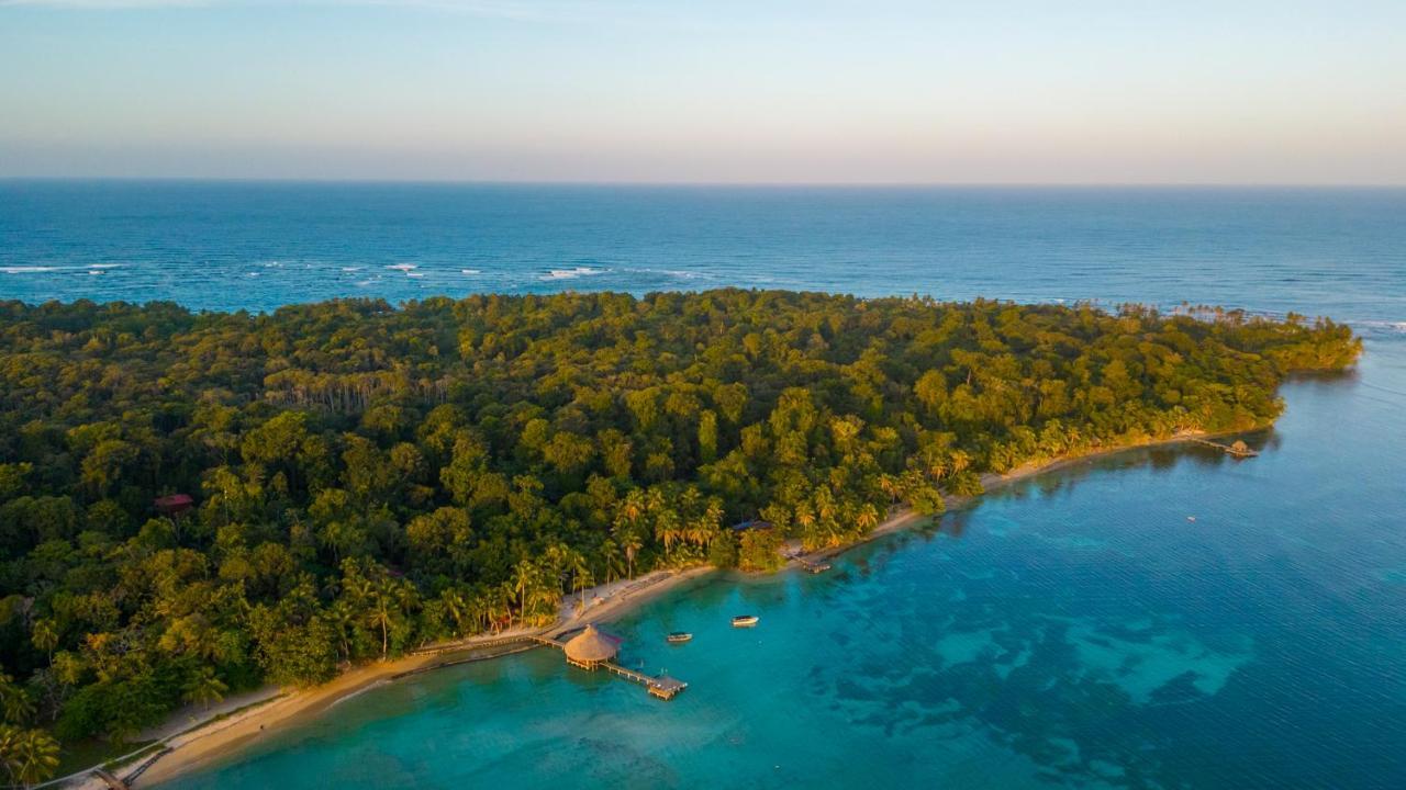 Casa Cayuco Eco-Adventure Lodge ボカス・タウン エクステリア 写真