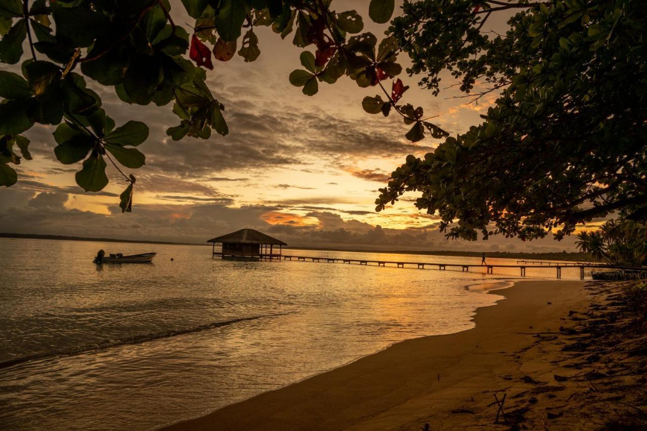 Casa Cayuco Eco-Adventure Lodge ボカス・タウン エクステリア 写真