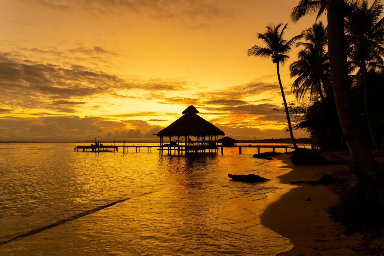 Casa Cayuco Eco-Adventure Lodge ボカス・タウン エクステリア 写真