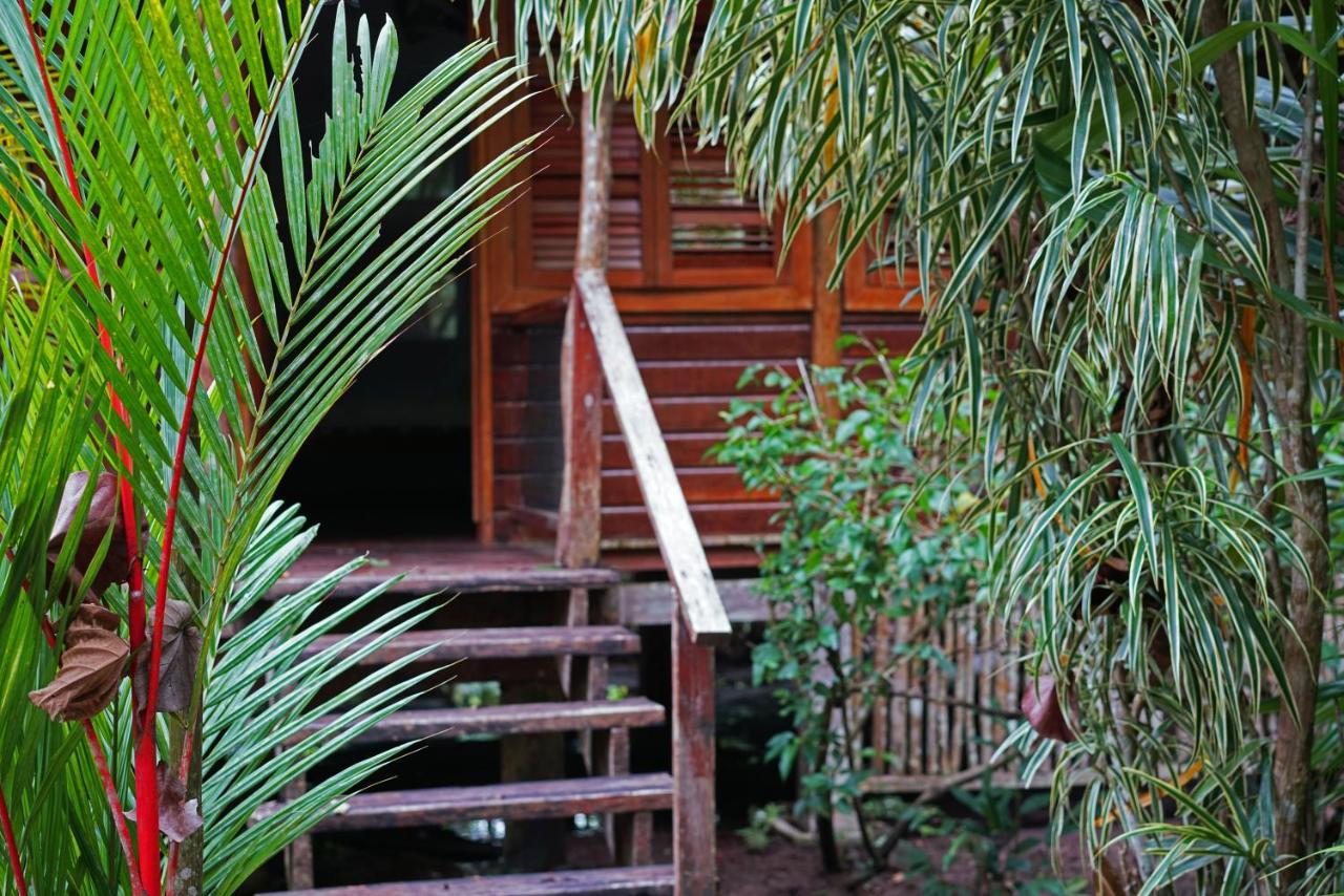 Casa Cayuco Eco-Adventure Lodge ボカス・タウン エクステリア 写真