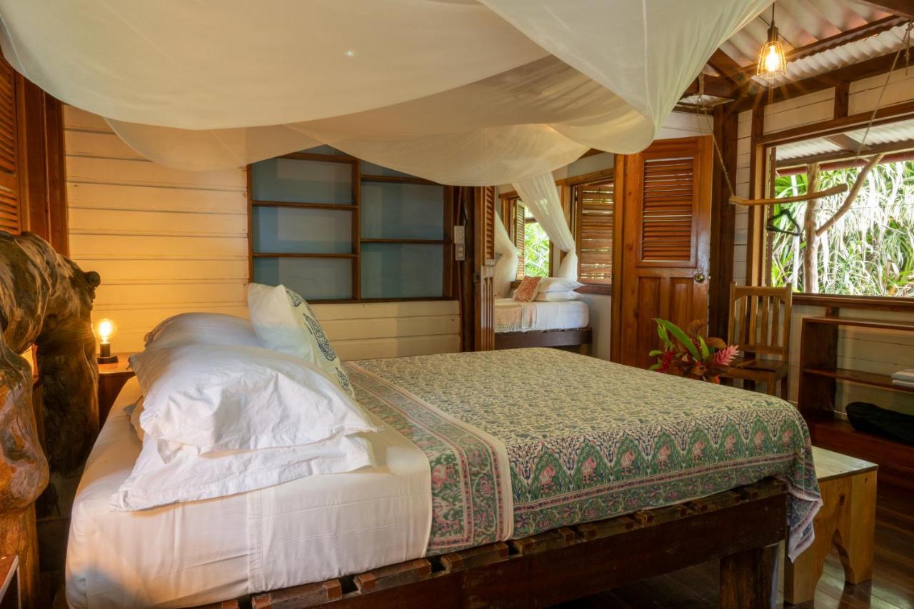 Casa Cayuco Eco-Adventure Lodge ボカス・タウン エクステリア 写真