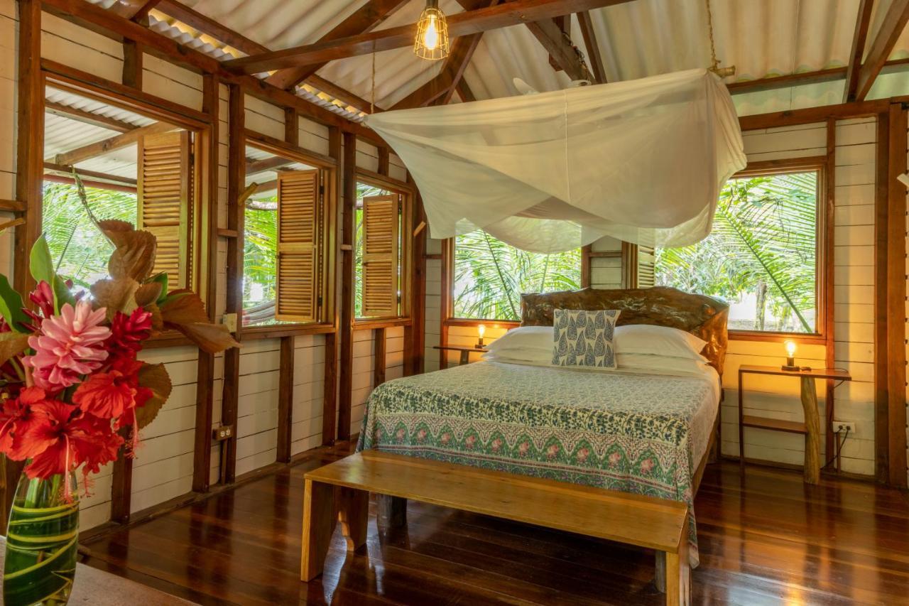 Casa Cayuco Eco-Adventure Lodge ボカス・タウン エクステリア 写真