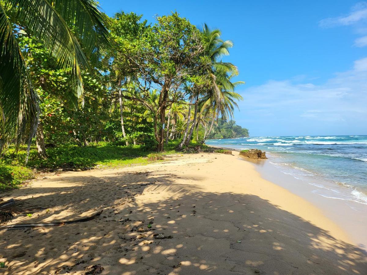 Casa Cayuco Eco-Adventure Lodge ボカス・タウン エクステリア 写真
