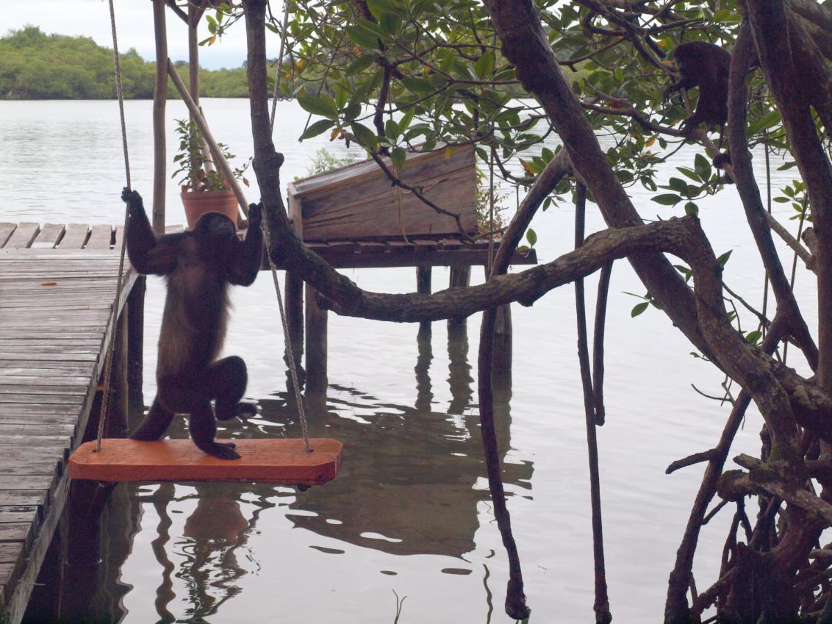 Casa Cayuco Eco-Adventure Lodge ボカス・タウン エクステリア 写真