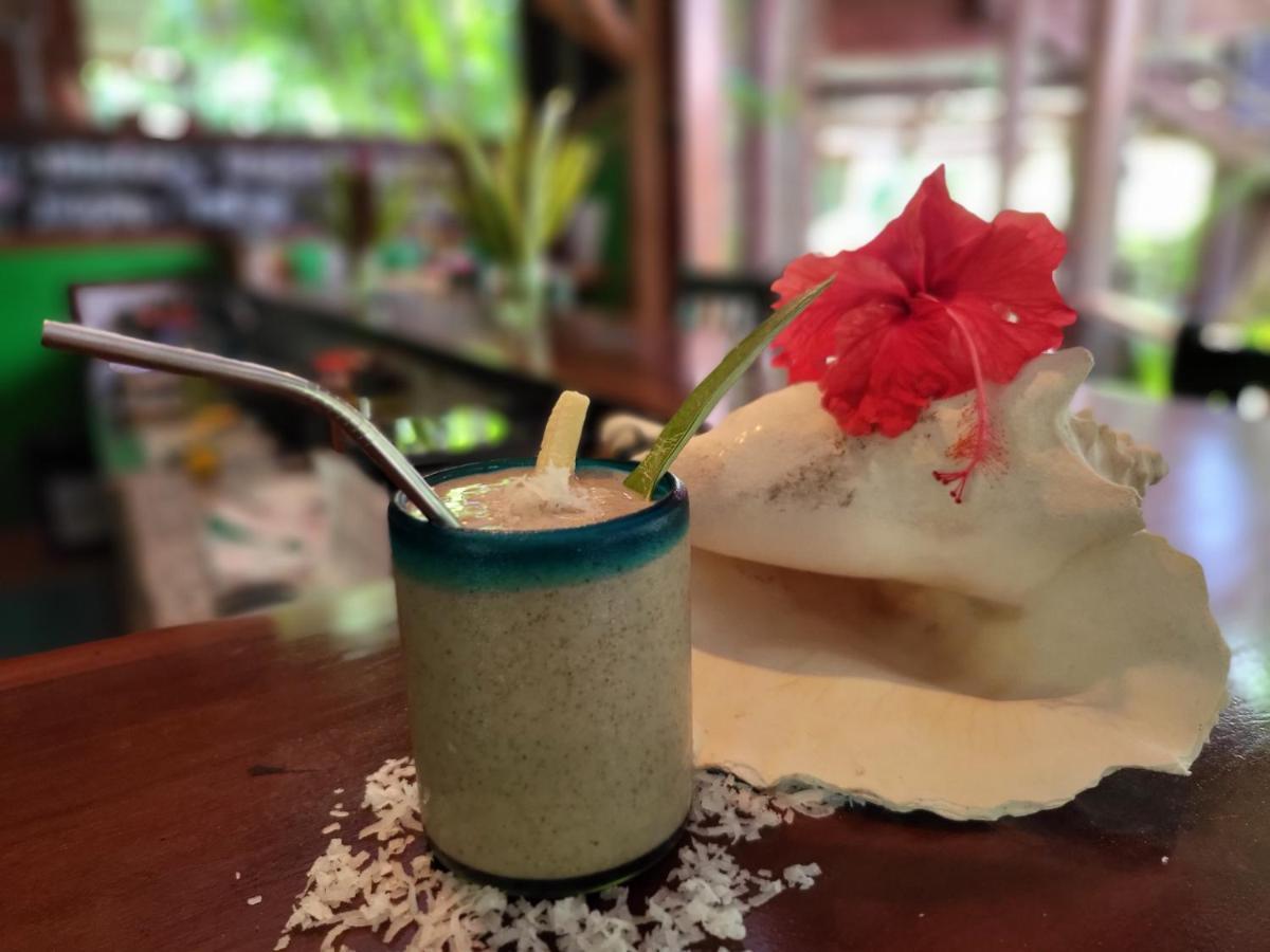 Casa Cayuco Eco-Adventure Lodge ボカス・タウン エクステリア 写真