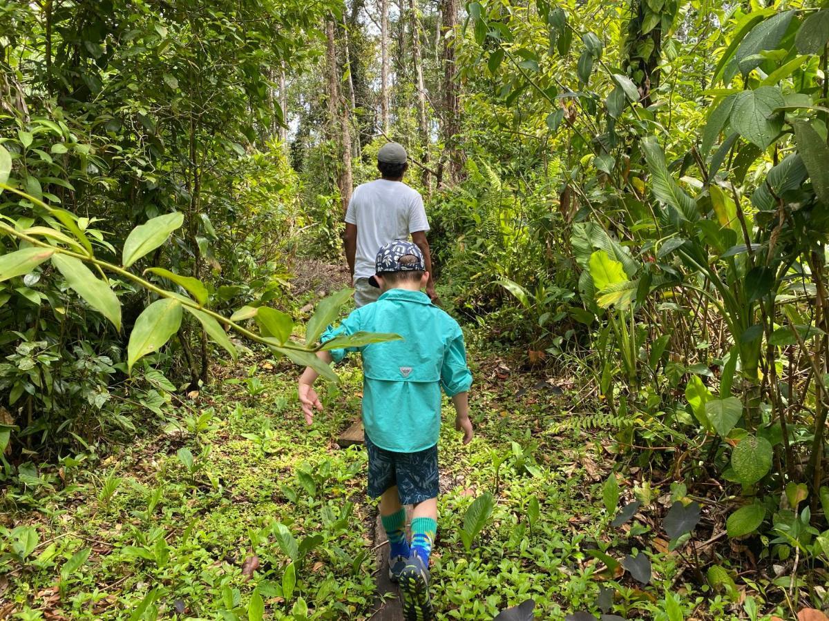 Casa Cayuco Eco-Adventure Lodge ボカス・タウン エクステリア 写真