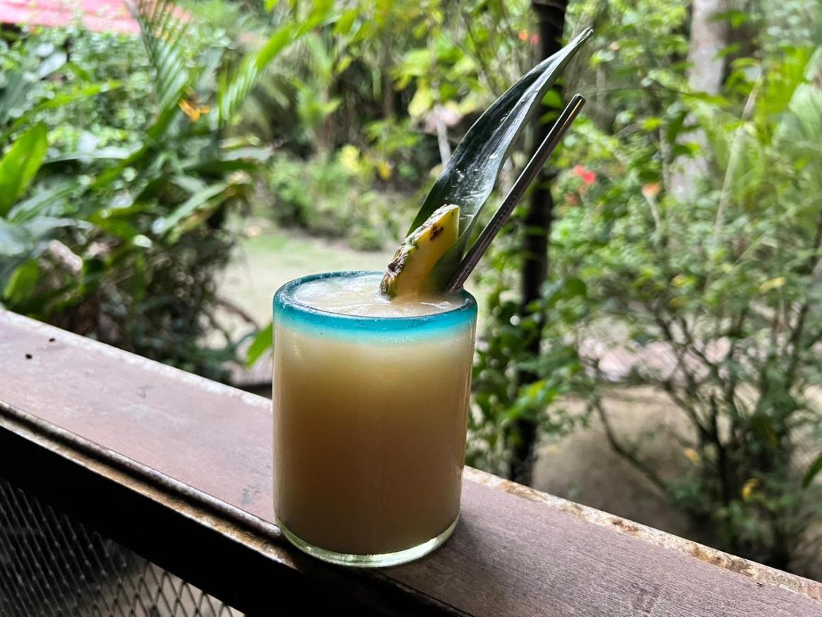 Casa Cayuco Eco-Adventure Lodge ボカス・タウン エクステリア 写真
