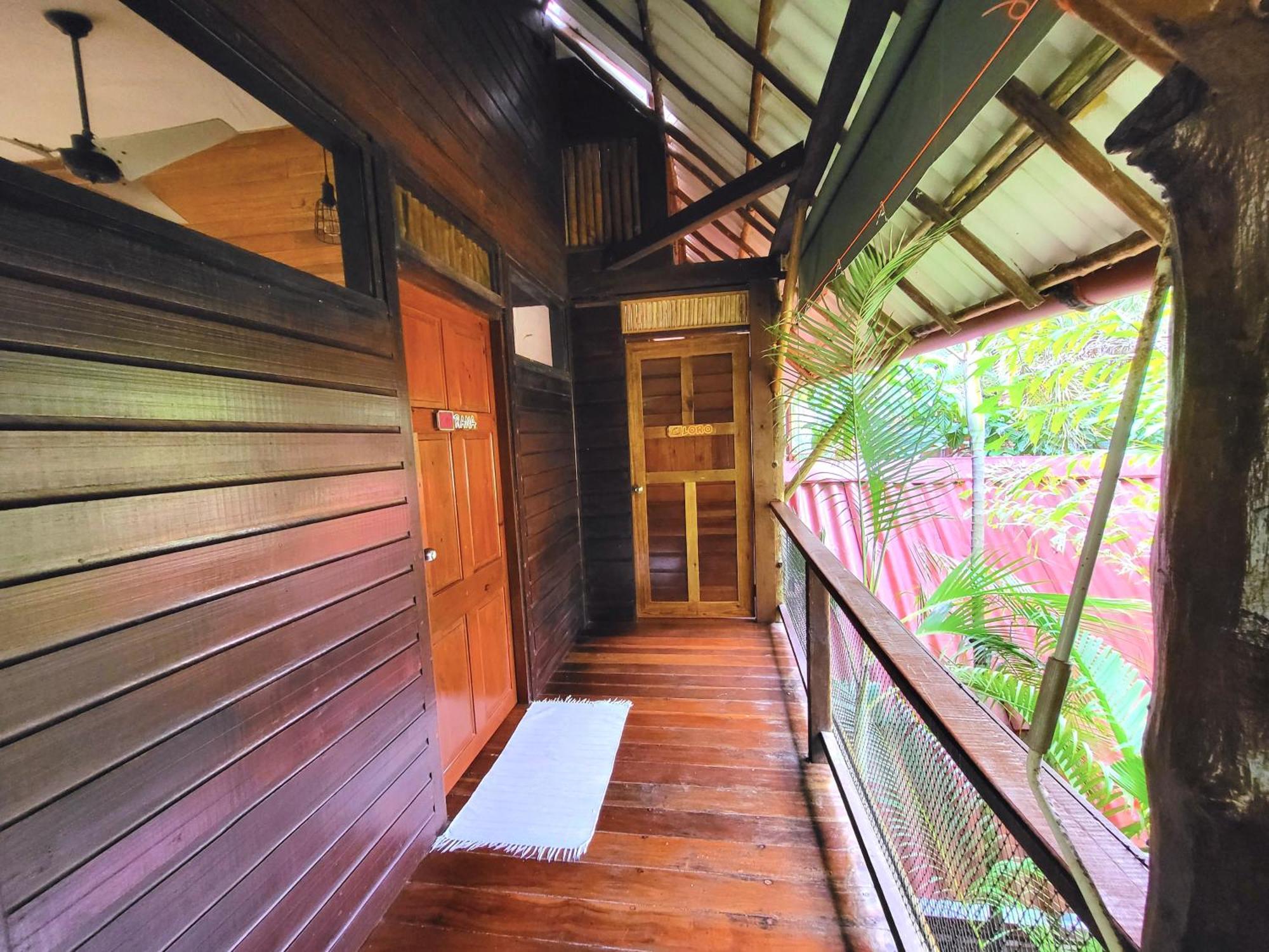 Casa Cayuco Eco-Adventure Lodge ボカス・タウン エクステリア 写真