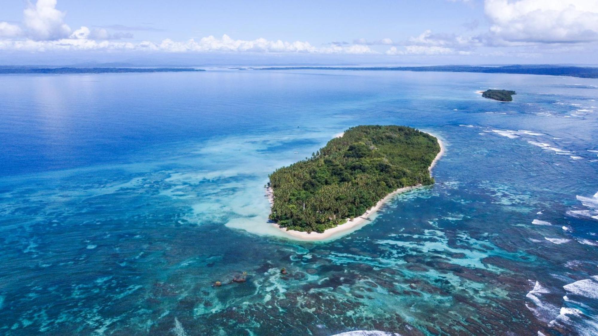 Casa Cayuco Eco-Adventure Lodge ボカス・タウン エクステリア 写真