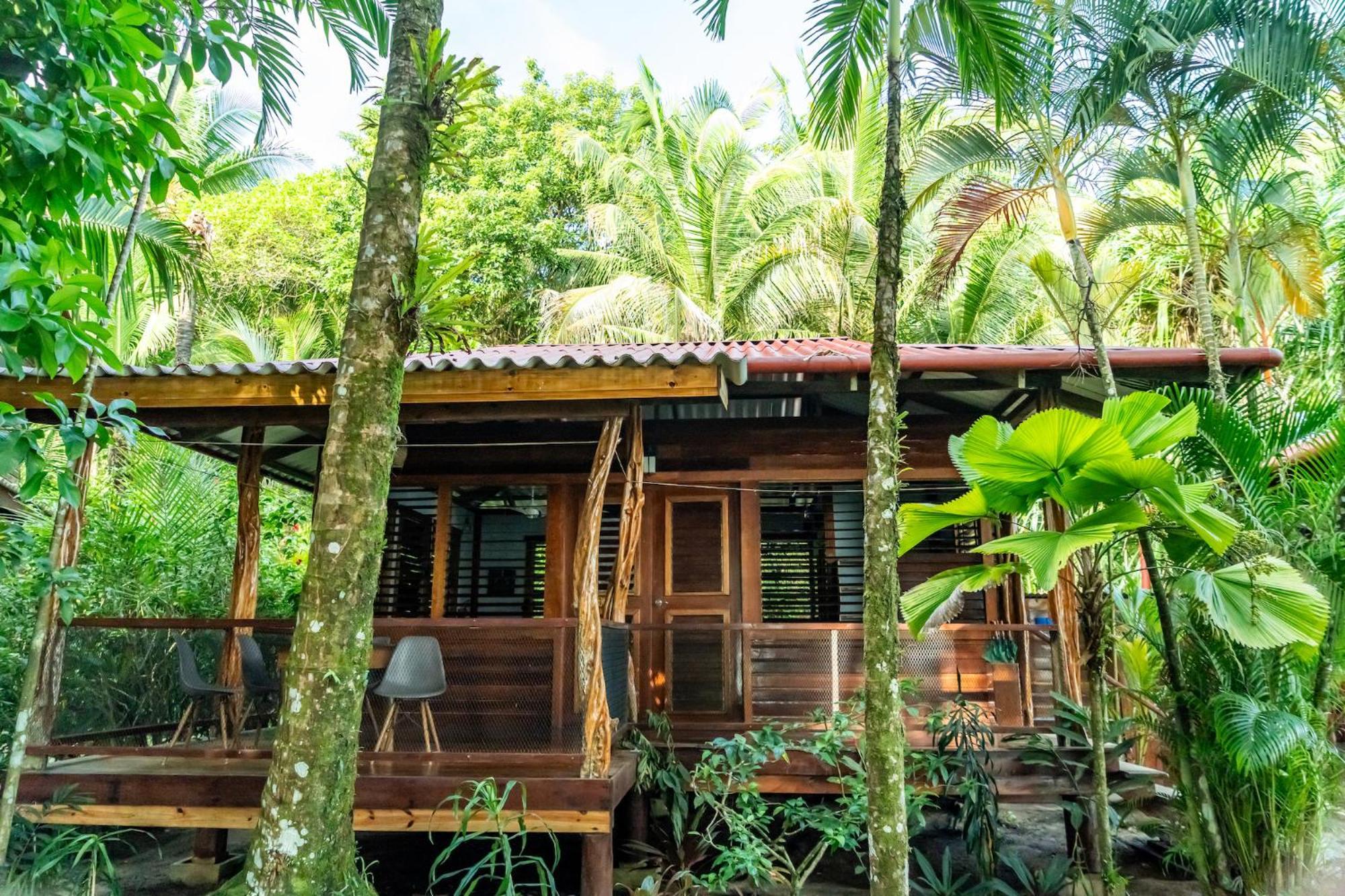 Casa Cayuco Eco-Adventure Lodge ボカス・タウン エクステリア 写真