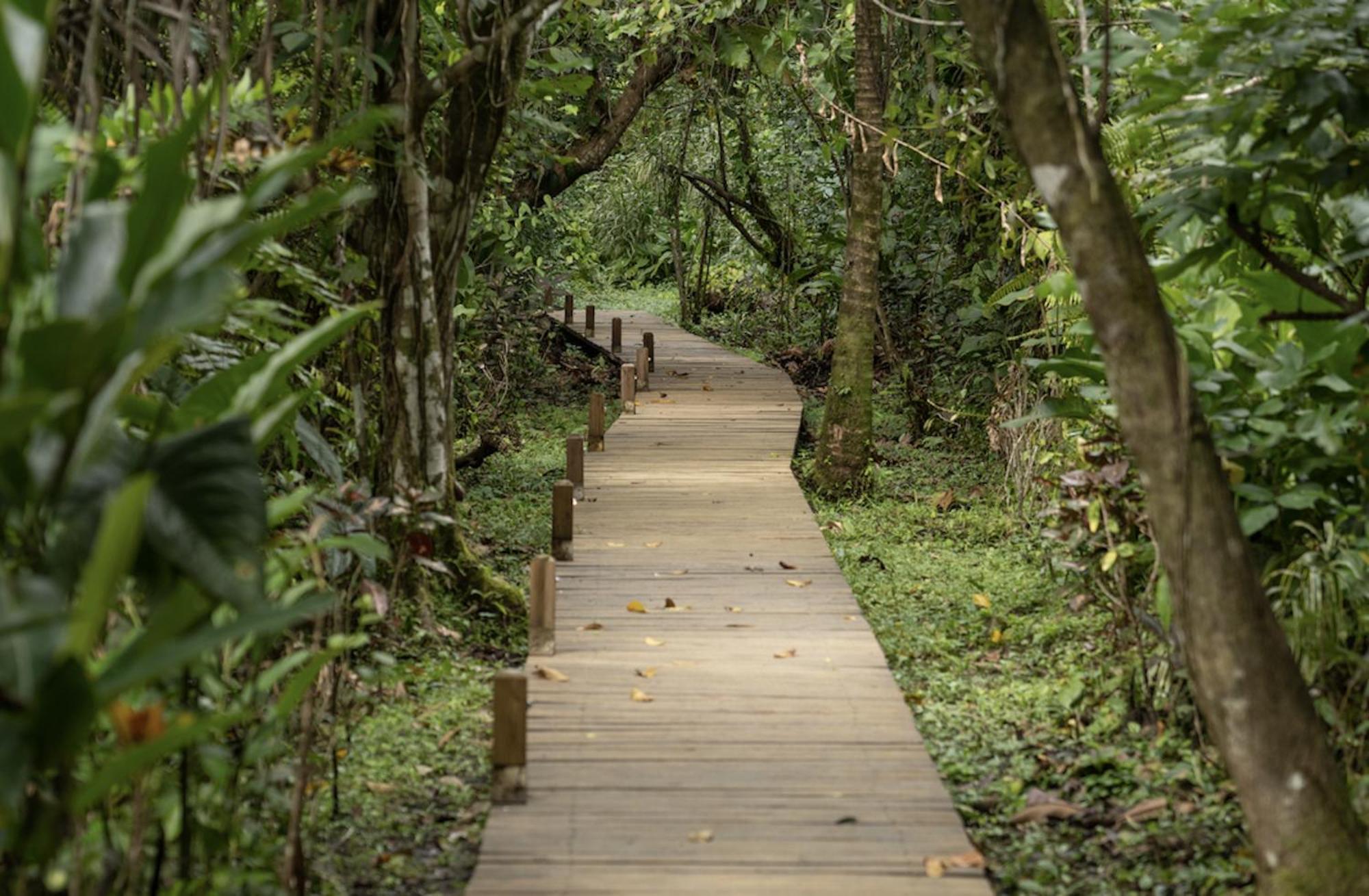 Casa Cayuco Eco-Adventure Lodge ボカス・タウン エクステリア 写真
