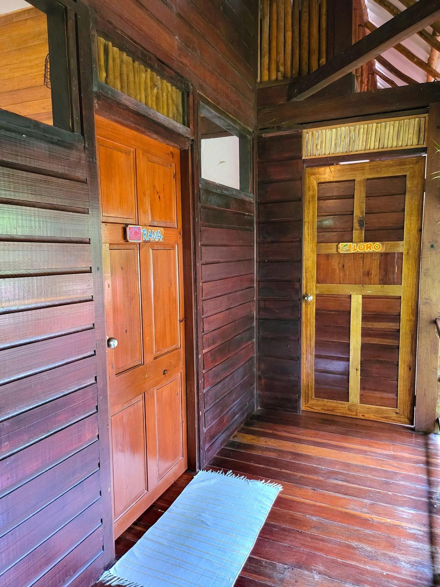 Casa Cayuco Eco-Adventure Lodge ボカス・タウン エクステリア 写真